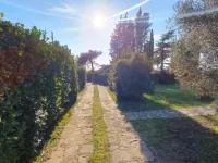 Seafront Dreamy Holiday Home Spina With Pool Hotels in Duba