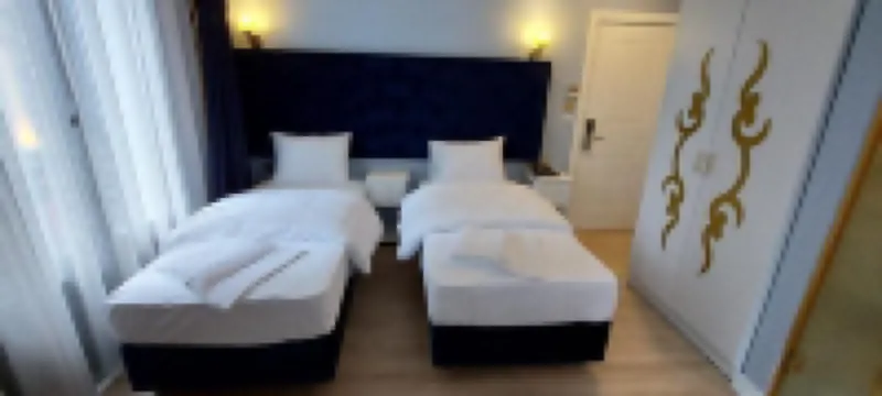 Boss to Hotel Taksim