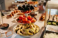 セルバトゥール カサブランカ (大人専用)