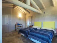 B&B Casa Torre Allera