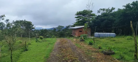 Río Celeste Nature View