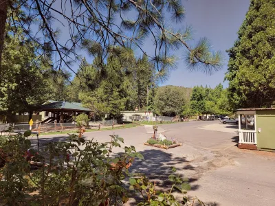 Outdoorsy Yosemite
