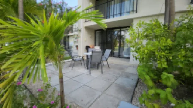 NEW Stunning Ground Floor Beachfront Studio in Coral Beach,  Grand Bahamas