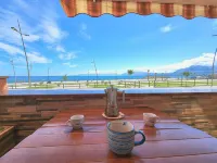 Seafront House Blue Gull