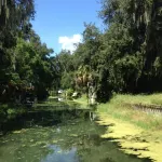 old Florida cottage canal front