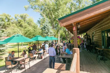 New pet-friendly, gorgeous cabin with AC and WiFi at Tiny Timbers Resort