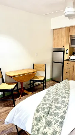 The Bear Cave- cozy condo in the San Juan Mountains! Great amenities!