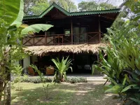 BEACH FRONT HOUSE 50mts from the water. PUNTA UVA ARRECIFE