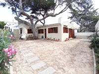 Beach Tree House at Paradise Island of Porto Santo Các khách sạn ở Vila Baleira