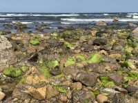 Highlands Holiday House in the heart of Coastal Brora Hotels in Brora