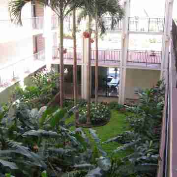 Hidden Gem! Exceptional 1 Bed/1Bath Ocean & Beachfront Kihei Hotel Exterior