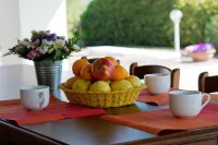Private villa near Certaldo and San Gimignano with swimming pool and large garden.