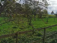 Fantastic self-catering apartment on the outskirts of Caerleon Hotels in Caerleon