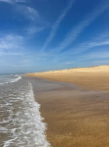 Maison Villa 6 Personnes Jacuzzi Privé Calme 3km Plage Labenne, 500 m Commerce