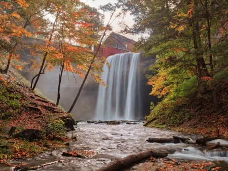 BRAND NEW LOWER LEVEL APARTMENT-CENTRAL TO EVERYTHING