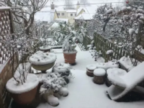 Quiet s/c cottage with garden 5 minutes walk to the centre of Uppingham Hotels in 