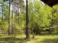 Log cabin on a 2000 m² nature estate, only5 km to the sea