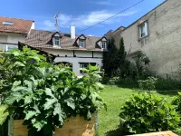 Gemütliche 2-zimmer-wohnung, Großer Garten, Zentral Gelegen Hotels near Kollmarsreute
