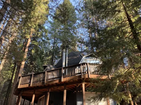 A Truly Beautiful Geo Dome home in the Sierras