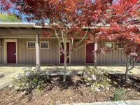 Mountain Harbor King Guest Room on Lake Ouachita Hotels in Montgomery County