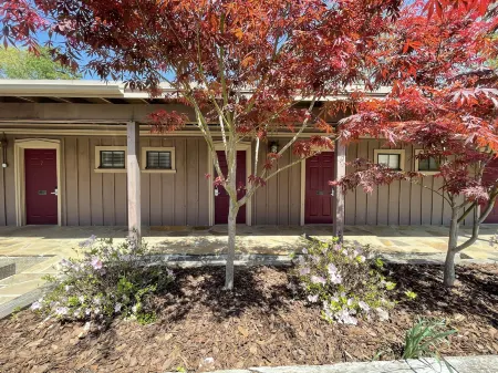 Mountain Harbor King Guest Room on Lake Ouachita