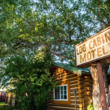 Log Cabin Motel Отели в г. Пайндейл