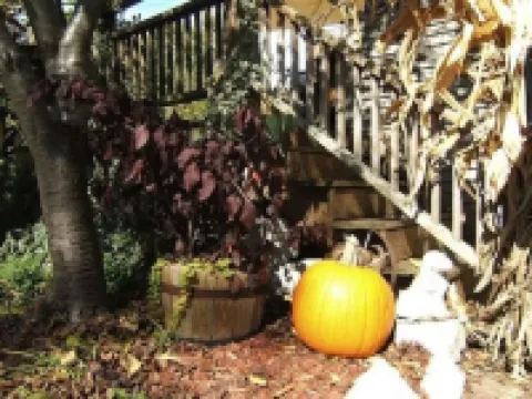 Boyden House Inn B&B