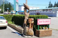 Best Continental Motel Hotels in Hope