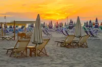 Hotel Playa - Beach