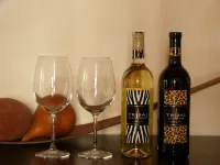 B＆B レディ ジェーン