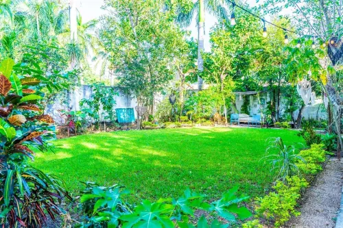 Ecoplaneta by Casa Borush