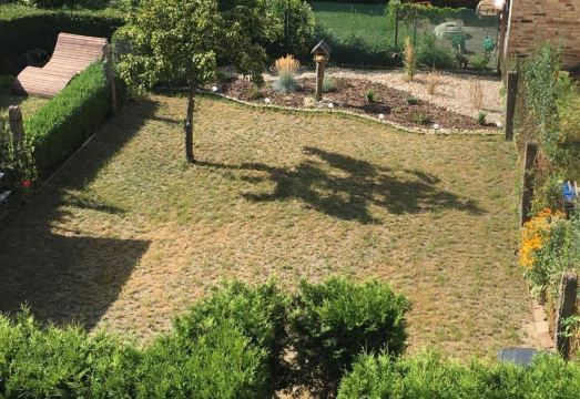 조식 뷔페 구성