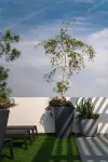 Americas Residence, Downtown, Financial zone, Jacuzzi, Rooftop, Best Wifi. GDL