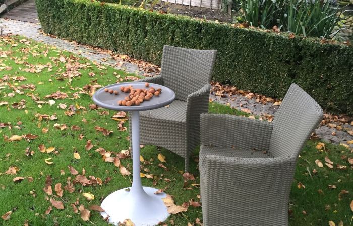 B&B de Rentmeesterhoeve