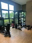 Le collective Sokcho Central - Gym