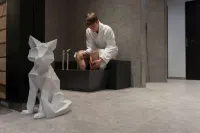 Gasthaus - Hotel Fuchs Hotels in Mauth