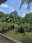 Chalé Floresta Toca da Serra Hotels in Iporanga