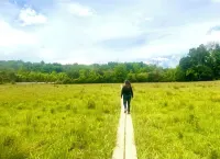 2 bedroom cozy condo with parking on premises