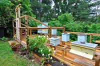 Available Just BEE🐝Log Cabin"-Stunning, peaceful, NEW , -10 min to Dwtn Ashe