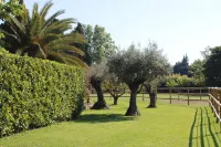 EXCEPTIONAL BED & BREAKFAST IN A PROVENCAL MAS with gourmet breakfast Hotel a Chateaurenard
