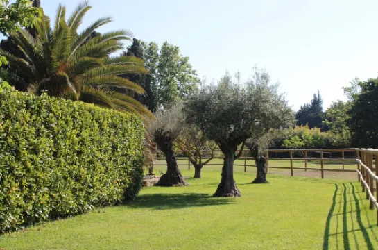 EXCEPTIONAL BED & BREAKFAST IN A PROVENCAL MAS with gourmet breakfast