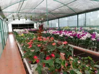 Casa Cactacea, Alberca, Garden, Fogata, Camino a Ticuman. 10 people