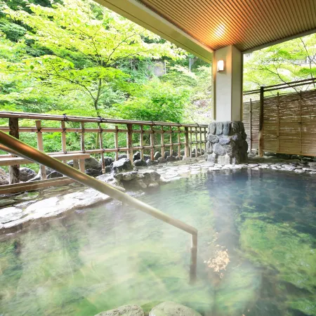 Shikitei Morioka TsunagiOnsen
