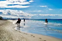 VILLA CALA REALE, sea front Hotels in Stintino