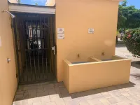 Island Vibes at Elegancia