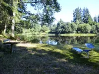 Limousin cabin by the pond