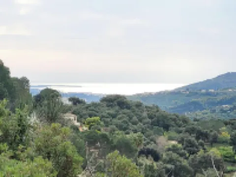 Quiet villa with maxi pool Hotels in Peymeinade