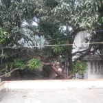 Vagabong Diaries Little  Boho Home Hotels in 