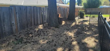 A comfortable home for friends and family to gather and play.