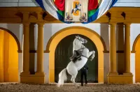 Casa Campiña Jerezana Hoteles en Cádiz